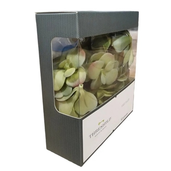 Threshold Quality & Design Vase Filler Succulents – 10 Pieces (NIB) 🌿 - Picture 3 of 4